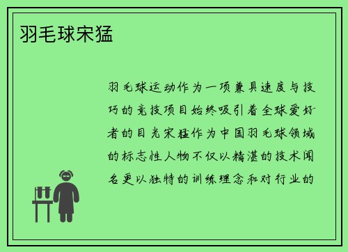 羽毛球宋猛